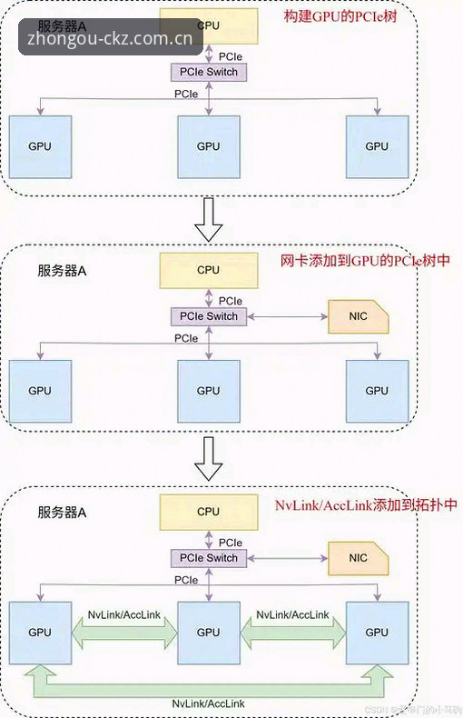 揭秘中欧体育电脑版：从入口迷局到专业体验的进化路径